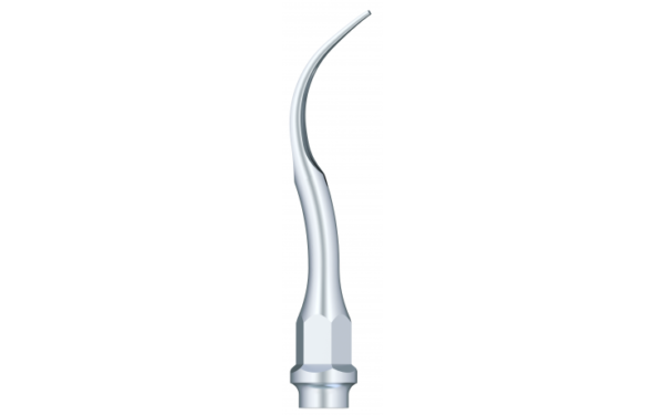 Supragingival & Subgingival Scaling GC2