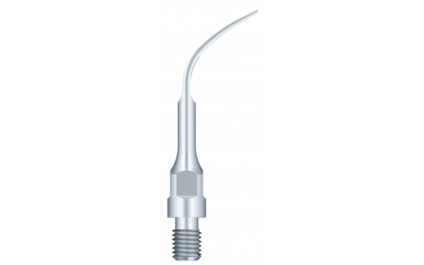 Supragingival Scaling GS4