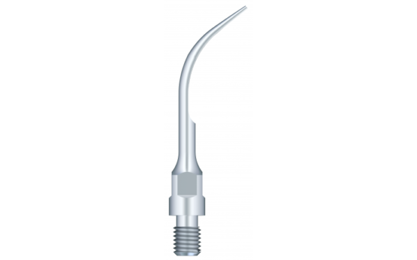 Supragingival Scaling GS5